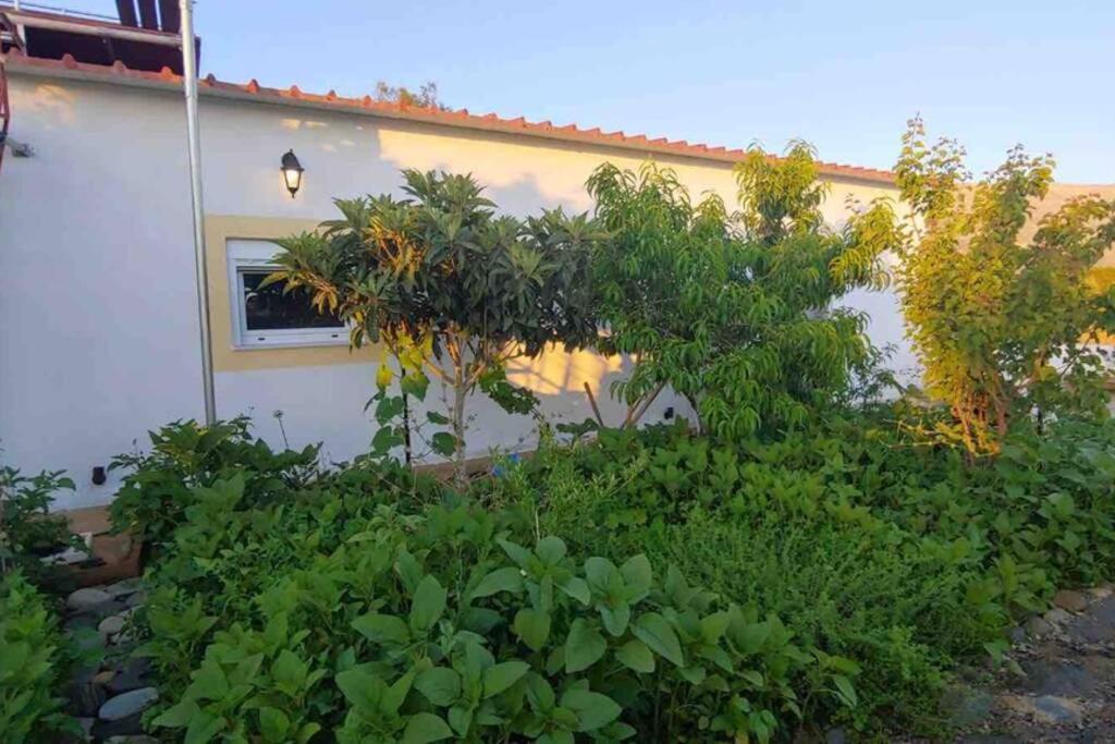 Cape Maleas Villa Agios Nikolaos  Eksteriør billede